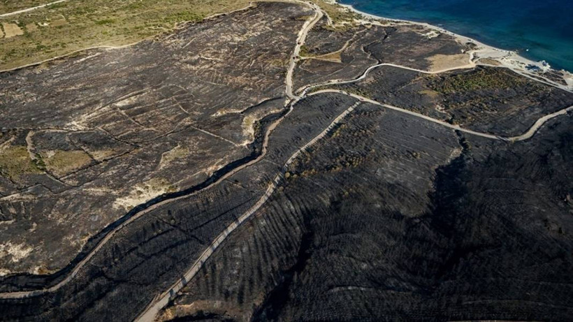 Çeşme'de yanan orman alanı havadan görüntülendi - Resim: 6